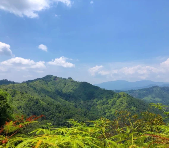 কক্সবাজার রিলাক্স